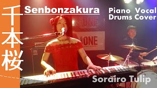 Senbonzakura Piano Vocal amp Drums cover  Sorairo Tulip [upl. by Maurizio]