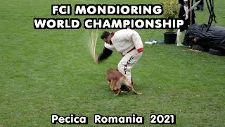 FCI Mondioring world championship 2021 [upl. by Nwonknu740]