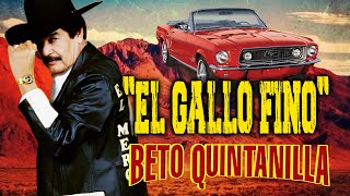 Reseña de quotEl Gallo Finoquot  Corridos Emblemáticos de Beto Quintanilla [upl. by Cayla120]