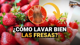 ¿Cómo lavar bien las fresas y eliminar los parásitos  El truco para desinfectarlas 🍓 [upl. by Juta]