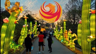 ‘Tianyu Lights Festival’ nighttime walkthrough experience to debut in Arizona at Camelback Ranch [upl. by Cott]