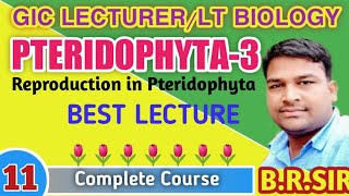 Reproduction in Pteridophyta  LTGIC Lecturer Biology Best Online Class  Biology Zone [upl. by Macfarlane]