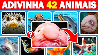 Adivinhe 42 Animais Marinhos em 3 Segundos 🐳🐙  Fácil Médio Difícil Impossível  Quiz de Animais [upl. by Graubert]