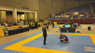 2024 ibjjf pan semi final match bjj jiujitsu brazilianjiujitsu [upl. by Dierdre]