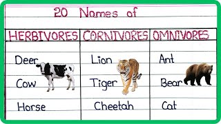 Herbivore Carnivore amp Omnivore  Types Of Animals [upl. by Yovonnda]