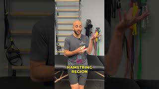 BEST EXERCISES FOR HAMSTRING FLEXIBILITY shorts flexibility physicaltherapy mobility [upl. by Alleunamme]