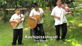 Xochipitzahuatl  Trío Yolpaki [upl. by Clemente]