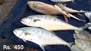 karachi Fish Marketrate [upl. by Ralston]