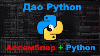 Ассемблер и Python  Дао общих интересов [upl. by Einahpad]