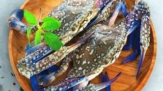 How to Catch Blue Crabs With Kids How to Clean and Cook Crabs [upl. by Druce]