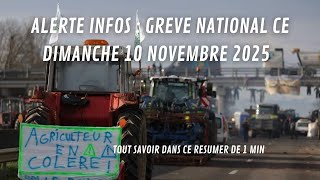 ALERTE INFOS  LE POINT SUR LA GREVE DU 10 NOVEMBRE 2024 manifestation france grève [upl. by Talanta800]