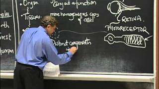 Types of Organisms Cell Composition excerpt 1  MIT 701SC Fundamentals of Biology [upl. by Bowes]