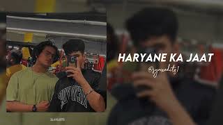 Haryanvi Edit Audios Cuz Why Not 🗿💥 [upl. by Ilrak949]