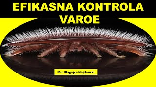 EFIKASNA KONTROLA VAROE varroa destructor mite Mr Blagojče Najdovski [upl. by Meara]