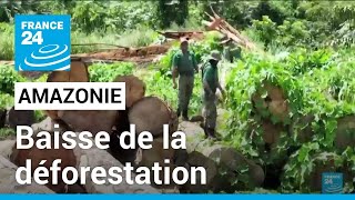 Baisse de la déforestation en Amazonie  diminution de plus de 60 par rapport à juillet 2022 [upl. by Nired817]