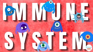 Immune System Innate and Adaptive Immunity Explained [upl. by Ahsratal]