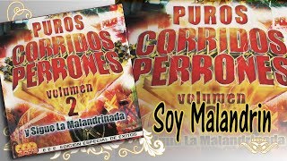 Soy Malandrin  Y Sigue La Malandrinada Cd 1  Puros Corridos Perrones  Disco Oficial [upl. by Eirot]