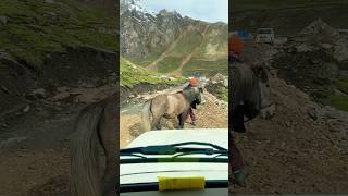 Trekking  trekking trek pony horse mountains travel snow snowfall adivasi omparvat barf [upl. by Yllod]