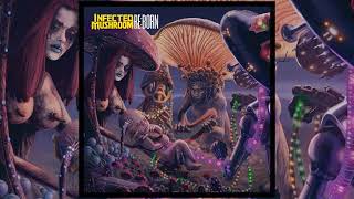 Infected Mushroom  Disco Mushroom REBORN [upl. by Jackson]