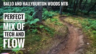 Scotlands Hidden Gem Ballo Woods MTB Trails  Bhuna Spicy Bits 2020 Purple Heart Home Time [upl. by Abrahams641]