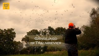 Gänsejagd im Traumrevier Aurich [upl. by Aniakudo757]