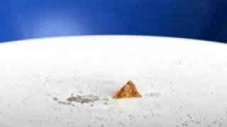 Cinnamon Toast Crunch Shark Commercial SPED UP [upl. by Mel]