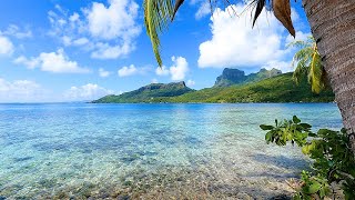 French Polynesia 3 Hours of Tropical Island Ambience For Relaxation [upl. by Kcirdorb]