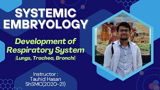 Development of Respiratory System with Clinical Anomalies  Hand drawn Visualization in Bangla [upl. by Aynekat]