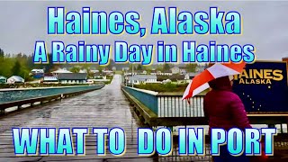 Haines Alaska  A Rainy Day in Haines  What to Do on Your Day in Port [upl. by Ydieh793]