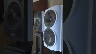 Perlisten Audio S4b Speakers playing the Awesome Hedegaard track Inferno [upl. by Anaeerb977]