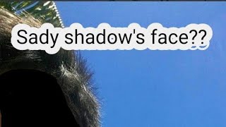 Sady shadows face reveal probably false information [upl. by Base]