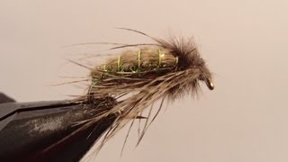 Hammer Creek Caddis Pupa [upl. by Rama]