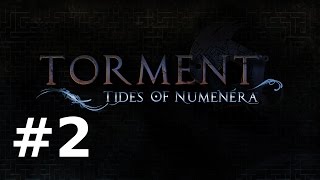 Torment  Tides of Numenera bêta 2  Genocide [upl. by Findlay44]