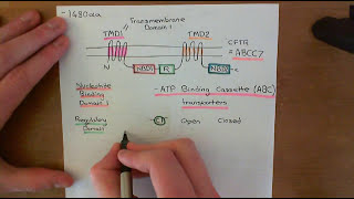 Cystic Fibrosis and Cystic Fibrosis Medications Part 1 [upl. by Amias]