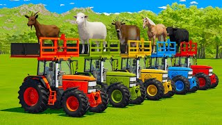 TRANSPORTING GOATS SHEEPS COWS HORSES BULLS AND TRACTORS WITH MAN TRUCKS  Farming Simulator 22 [upl. by Hamlani]