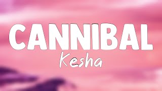 Cannibal  Kesha Lyrics Version 🐛 [upl. by Alessig]