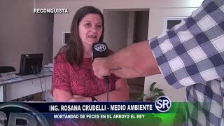 ING ROSANA CRUDELLI  MEDIO AMBIENTE [upl. by Eanod287]