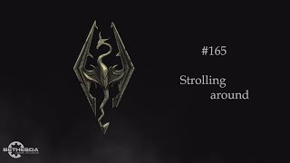 Skyrim Anniversary Edition 165  Strolling around No commentary [upl. by Amalbena720]