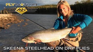 Fly Nation Skeena Steelhead on Dry Flies [upl. by Dnama]