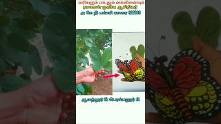 butterfly made by leaf butterfly craft ideas using everyday objects leaf painting ramanan artteacher [upl. by Baudoin]