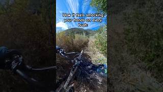 Bushwhacking at its finest mtb downhill mountainbike [upl. by Nirak]