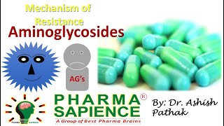 Mechanism of resistance to aminoglycosides [upl. by Asiulairam]