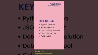 IT Jobs Openings in 2024 SailPoint Developer  People Prime Jobs [upl. by Zwick180]