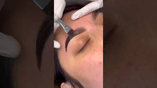 Eyebrow Tinting amp Dyeing Transformations 😘 [upl. by Sanchez]