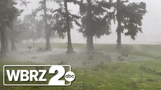 Strong winds strip leaves off trees as rain soaks outskirts of Morgan City  Tracking Francine [upl. by Lampert654]