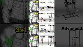 Arm Workouts for ALL Levels Beginner to Advanced Training [upl. by Ozzie582]