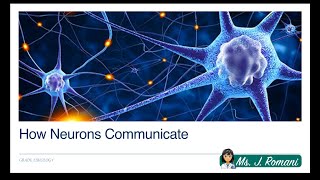 Lesson Video  How Neurons Communicate [upl. by Tennes43]