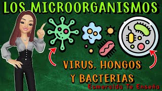 🔬🤧Los Microorganismos Virus Bacterias Hongos y Parásitos🦠🔍 [upl. by Bruner]