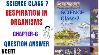 respiration in organisms science class7 question answerClass7 science chapter6 question answer vs [upl. by Augustina947]