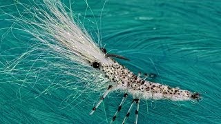 Hedron Flytying Wing n flash shrimp [upl. by Shandy]